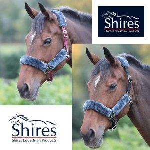 Shires Licol  avec Mouton Synthetique