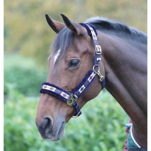 Shires Licol Polo Fleece