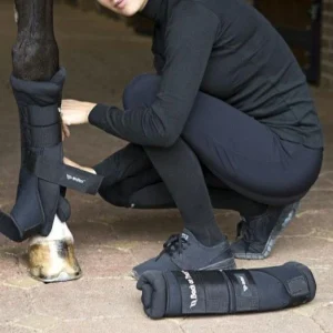 Cotons pour Stable Boots Back On Track Royal