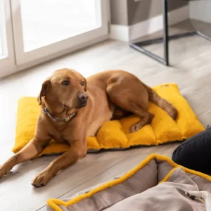 Tapis pour chien HKM Anam Cara Travel