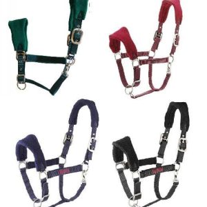 Tattini Licol Polaire