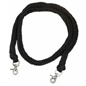 TdeT Renes Ethologique