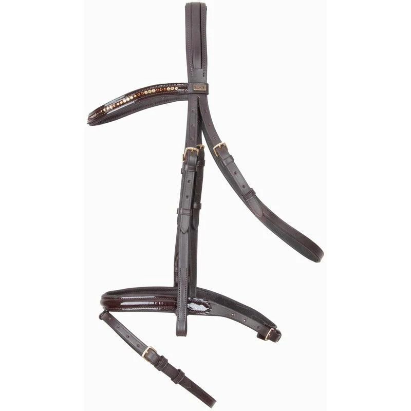 TdeT Bridon Botticelli – Image 5