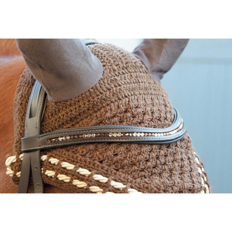 TdeT Bridon Botticelli – Image 6