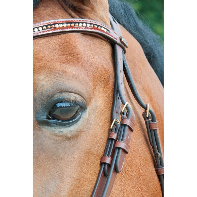 TdeT Bridon Botticelli – Image 4