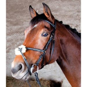 TdeT Bridon Kessel Croisée