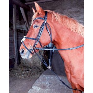 TdeT Gogue Classique