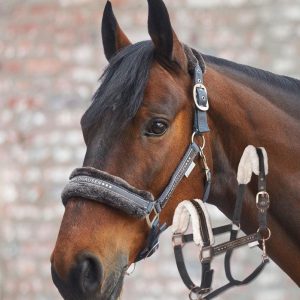 waldhausenlicolelegant.jpgv1710449748 Licol Elegant