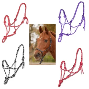 Waldhausen Licol Ethologique