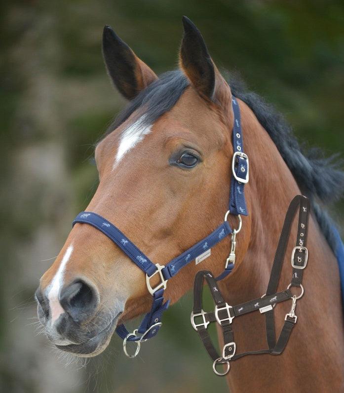 Licol Petite Chevaux