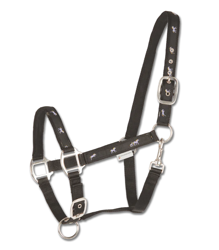 Licol Petite Chevaux – Image 3