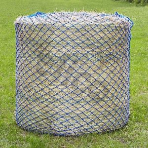 Wild Boar Filet a Foin pour Grand Balles Rond