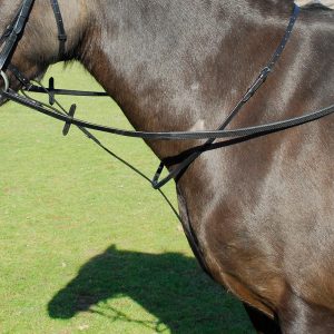 Windsor Martingale Fixed