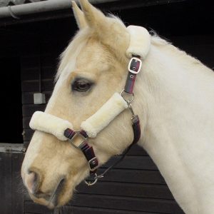 Windsor Licol Rayées avec Mouton Synthetque