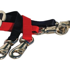 Windsor Longe de Transport