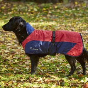 Woofmasta Secret Flash Couverture Chien